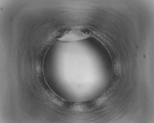 X0000078850608200611201340