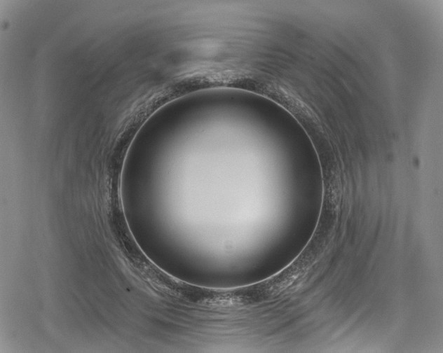 X0000078850639200611201340