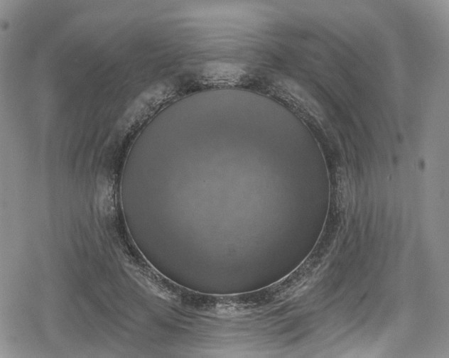 X0000078850641200611201340
