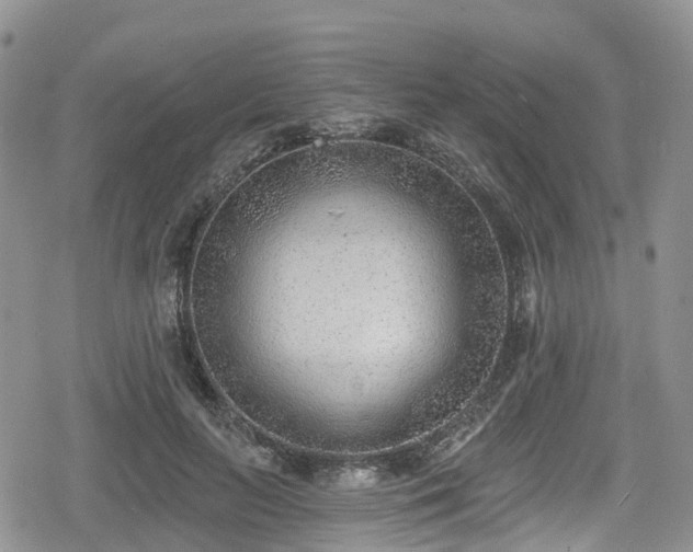 X0000078850647200611201340