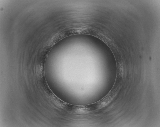 X0000078850657200611201340