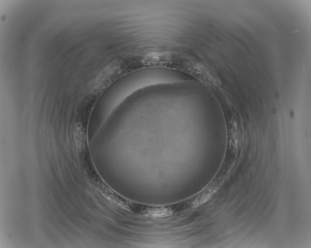 X0000078850659200611201340