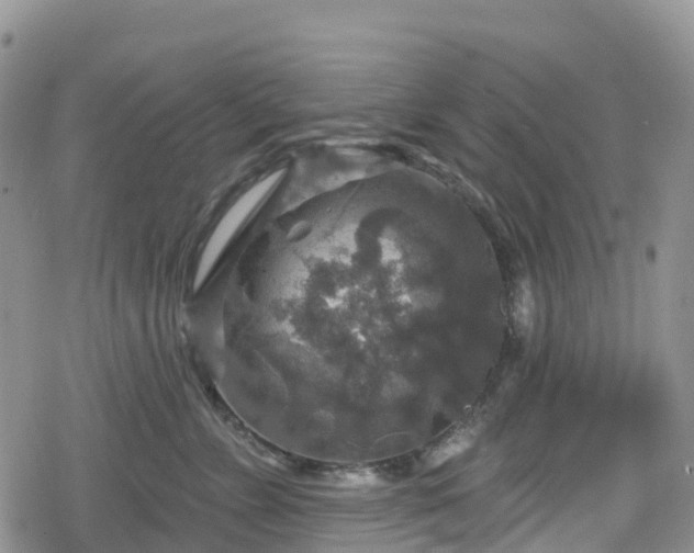 X0000078850715200611201339