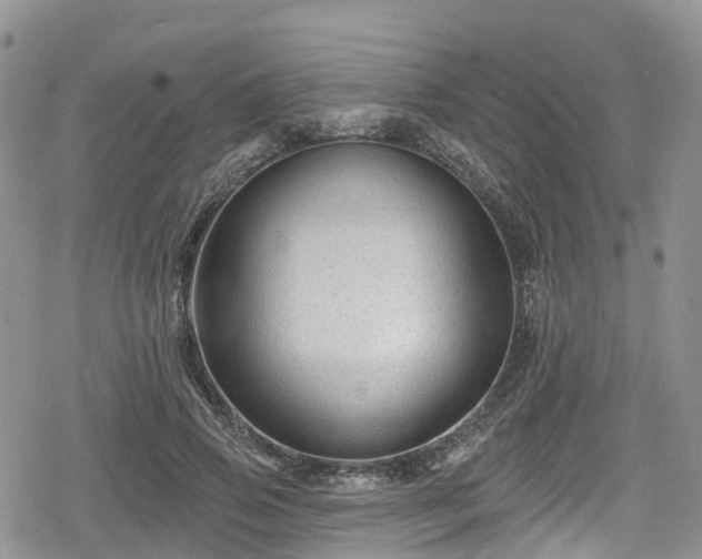 X0000078850741200611201338
