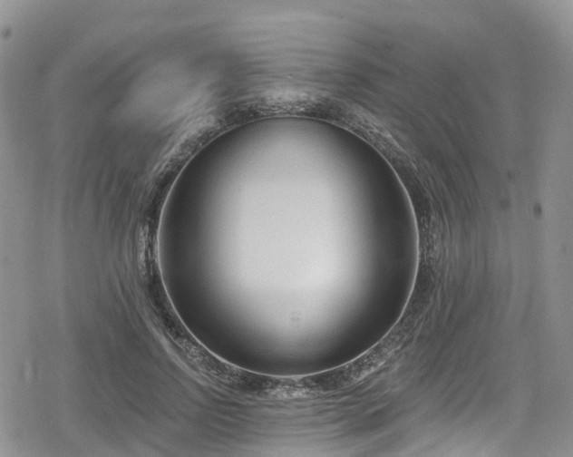 X0000078850742200611201338