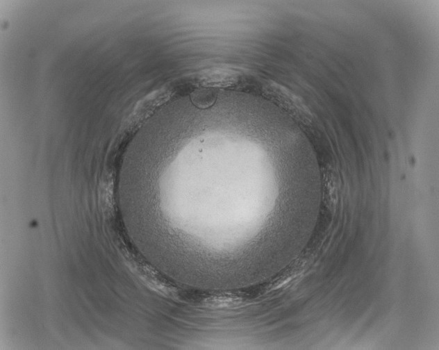 X0000078850745200611201338