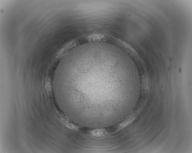 X0000078850761200611201338