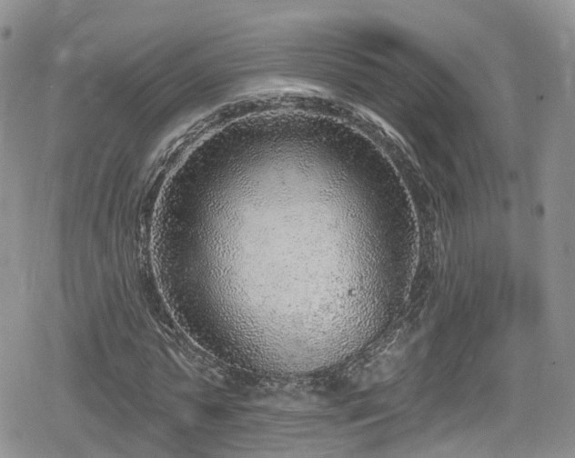 X0000078850775200611201338