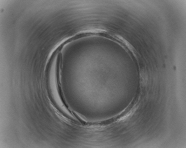 X0000078850779200611201338