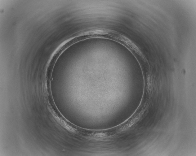 X0000078850784200611201337