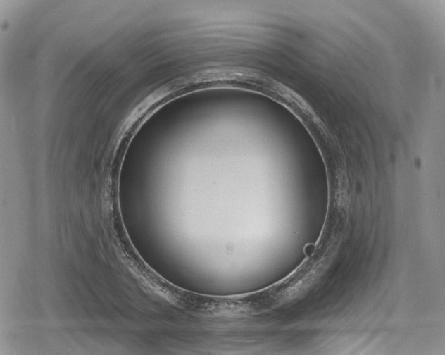 X0000078850786200611201337