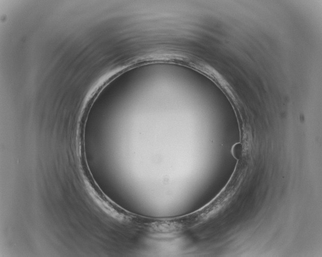 X0000078850795200611201337