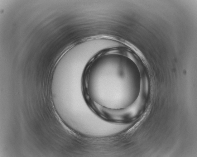 X0000078850809200611201337