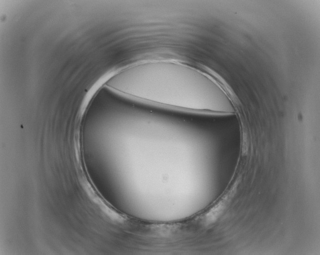 X0000078850812200611201337