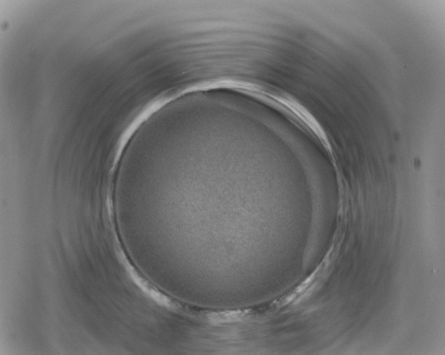 X0000078850813200611201337