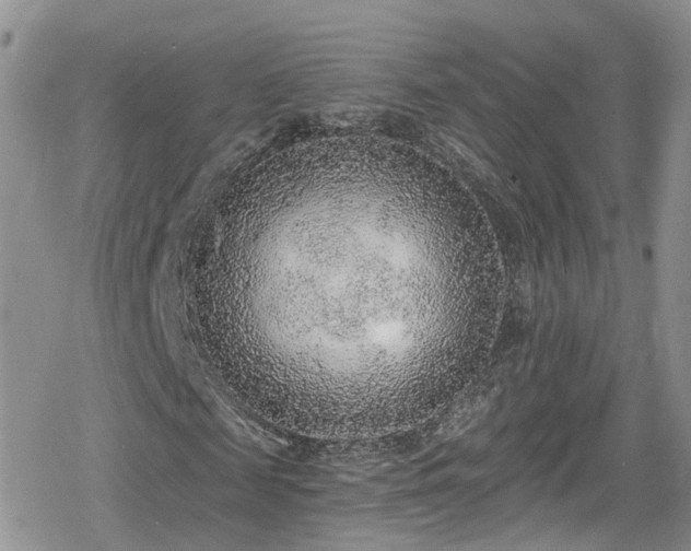 X0000078850817200611201336