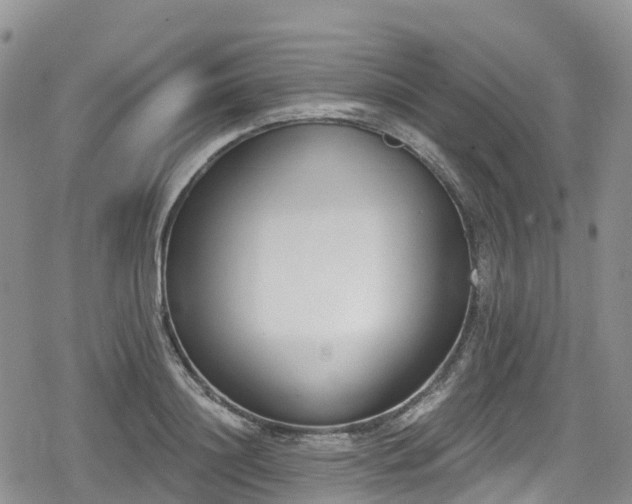X0000078850844200611201337