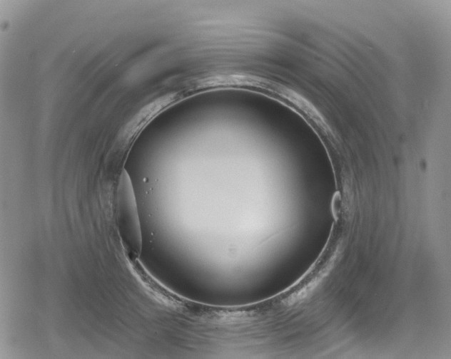 X0000078850849200611201337