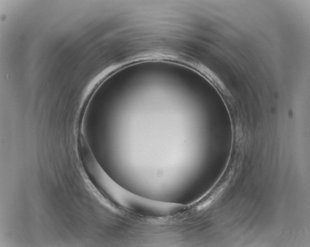 X0000078850854200611201337