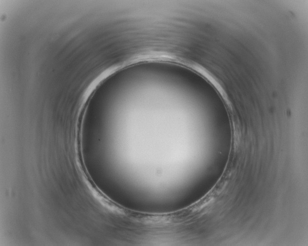 X0000078850861200611201337