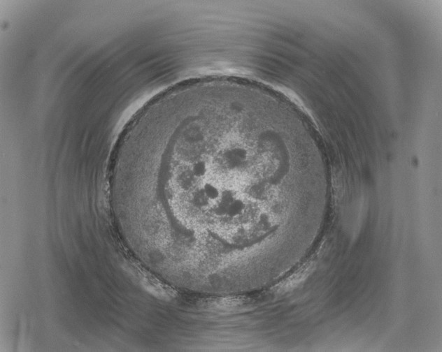 X0000078850879200611201336