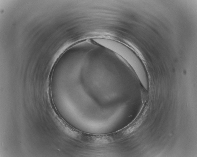 X0000078850899200611201335