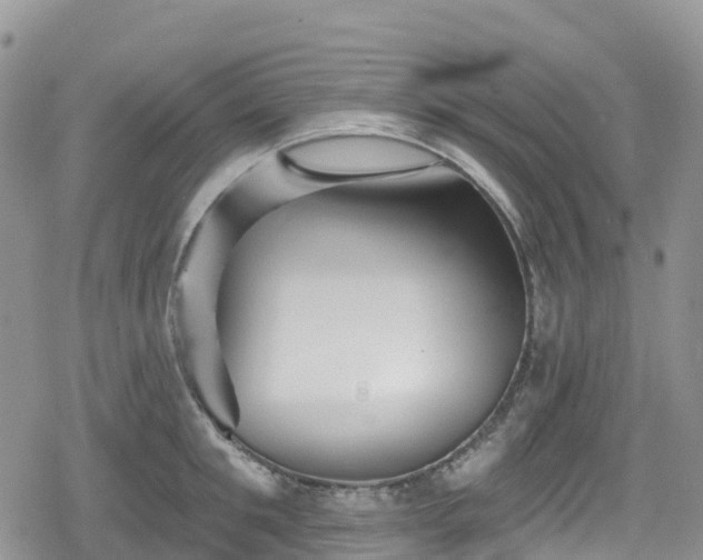 X0000078850901200611201335