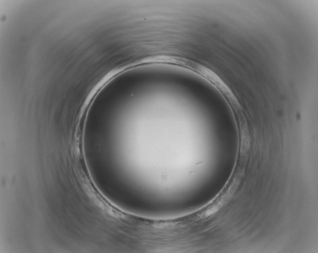X0000078850908200611201335