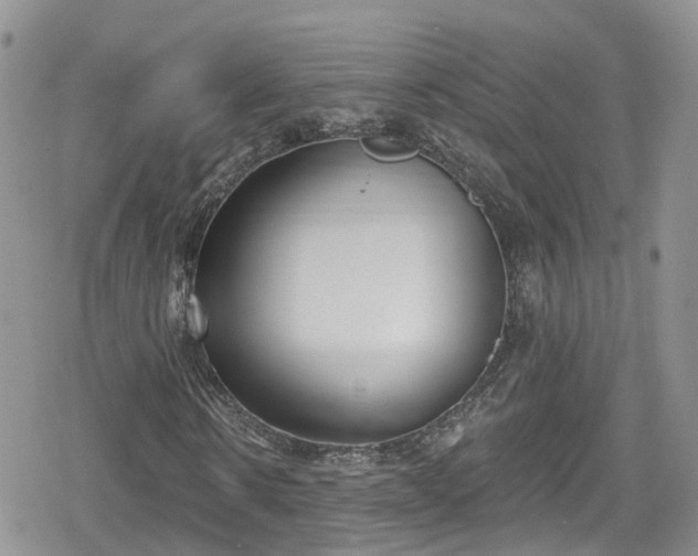 X0000078850914200611201334