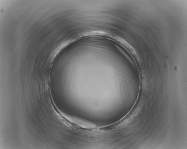 X0000078850945200611201335