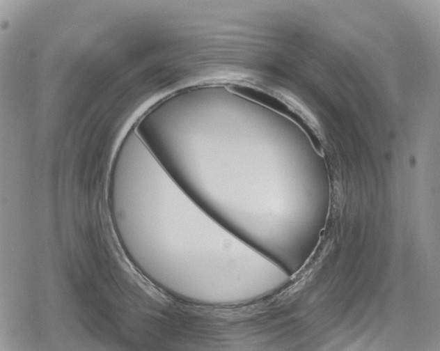 X0000078850948200611201335
