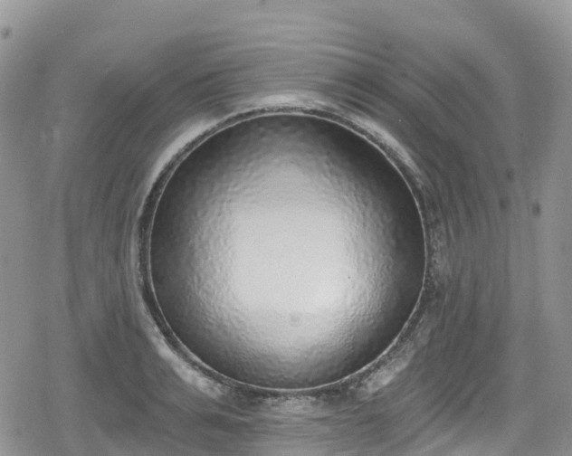 X0000078850991200611201334