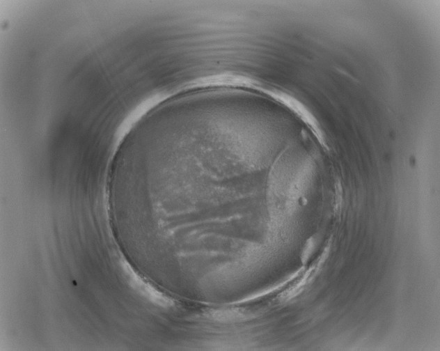 X0000078850998200611201334