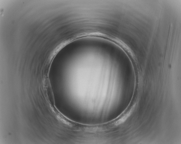 X0000078851001200611201334