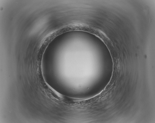 X0000078851016200611201333