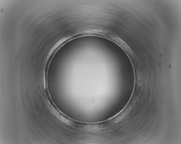 X0000078851036200611201333