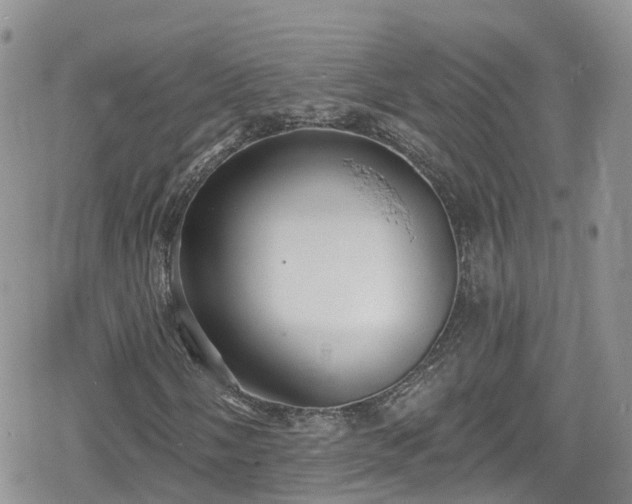 X0000078851058200611201333