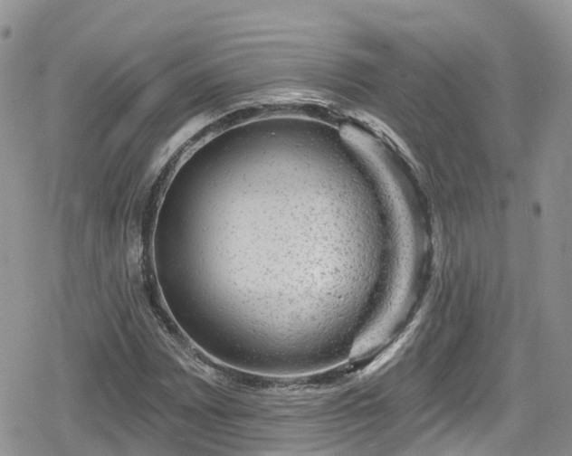 X0000078851065200611201333
