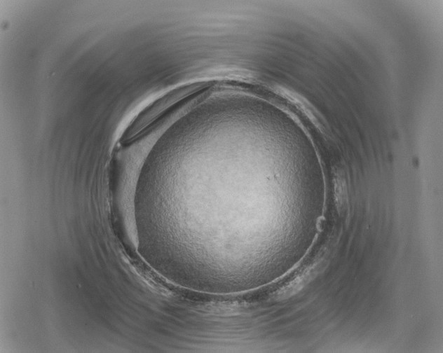 X0000078851069200611201333