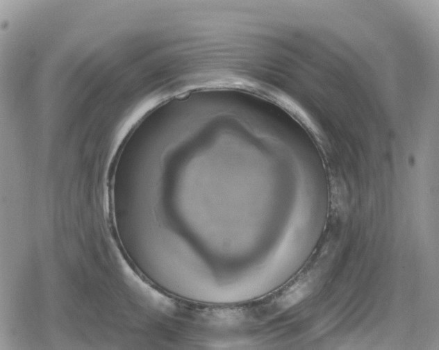 X0000078851095200611201332