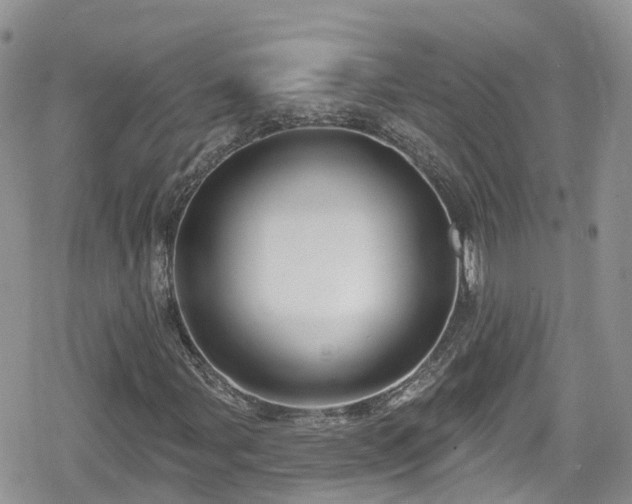 X0000078851107200611201331