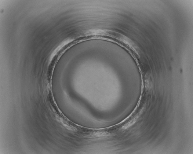 X0000078851117200611201331