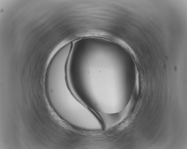 X0000078851138200611201332