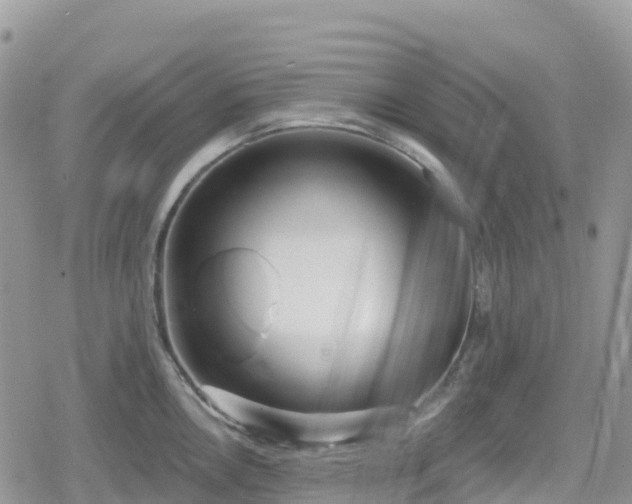 X0000078851146200611201332