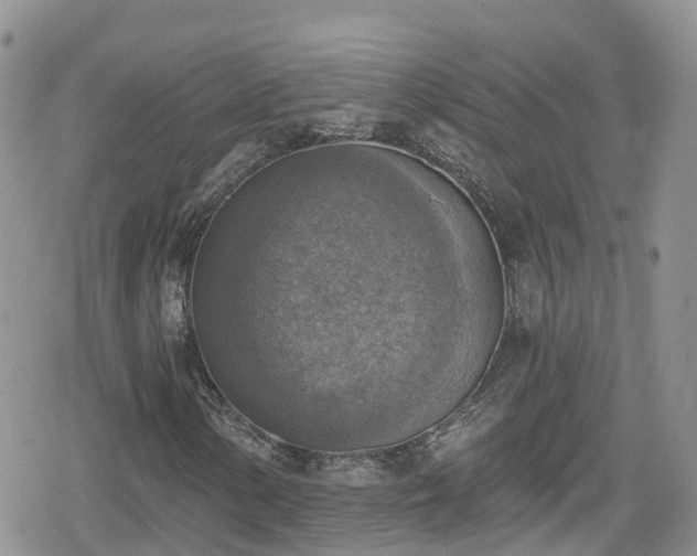 X0000078851154200611201331