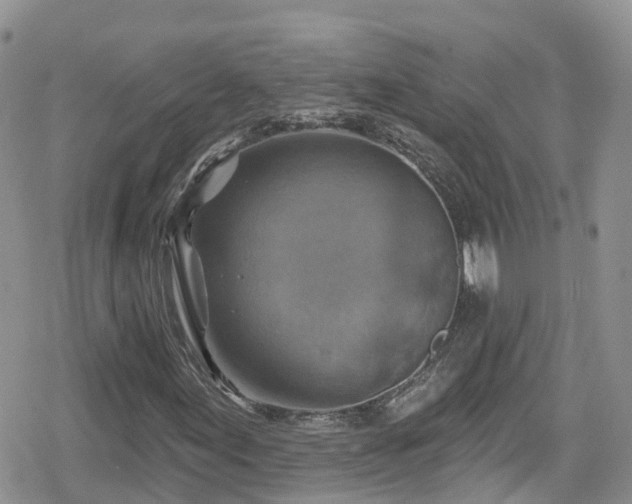 X0000078851155200611201331