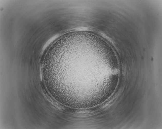 X0000078851171200611201331