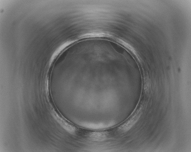 X0000078851179200611201331