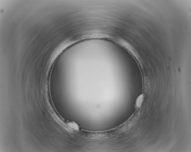 X0000078851187200611201331