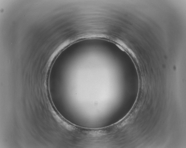X0000078851189200611201331